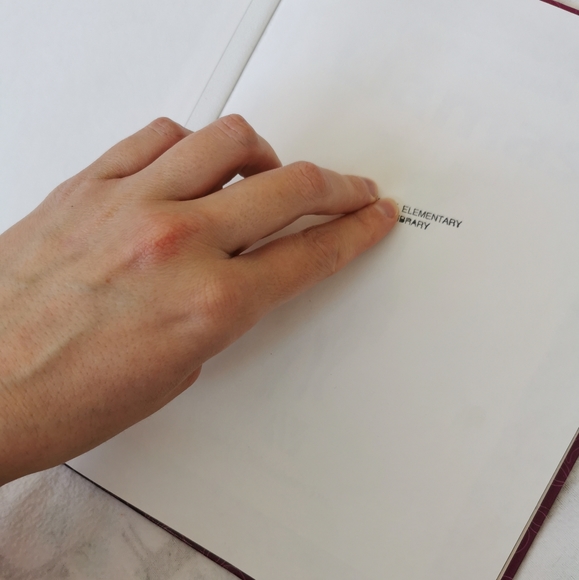 Mixture of Learning Books (Scholastic, Pebble, etc) - Picture 6 of 16